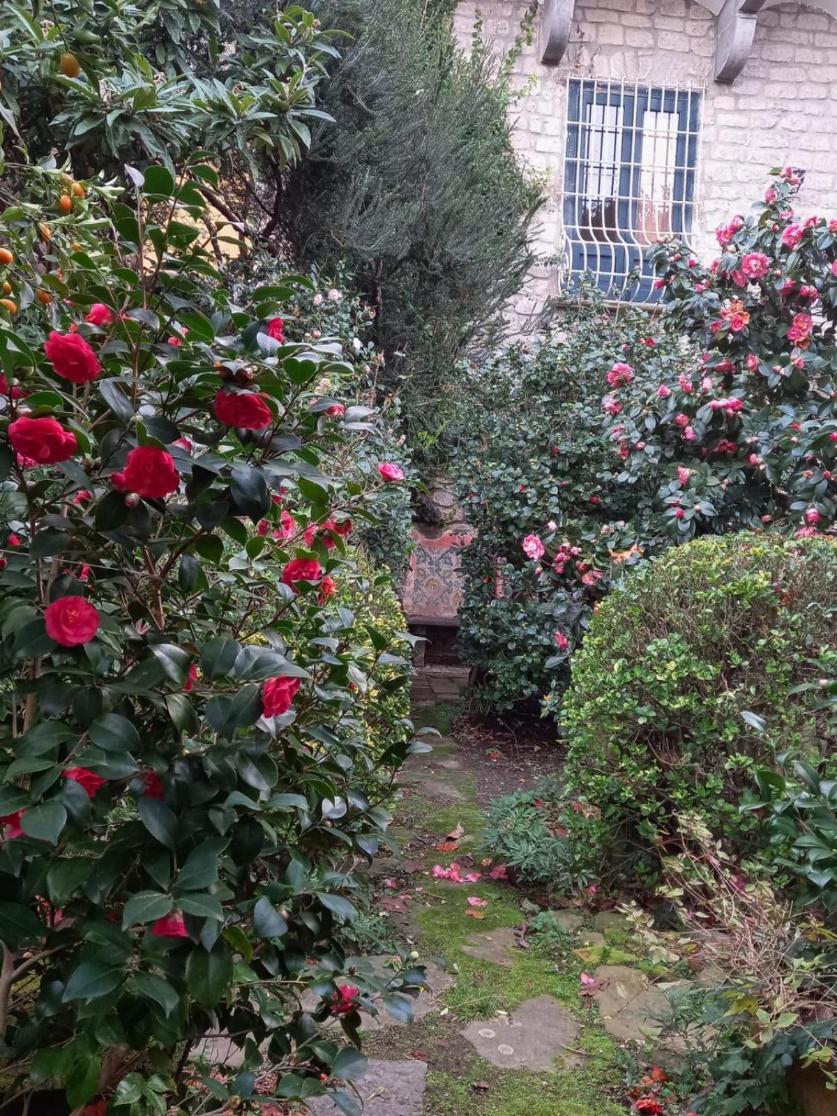 L'Antica Dimora Villa Meta Kültér fotó
