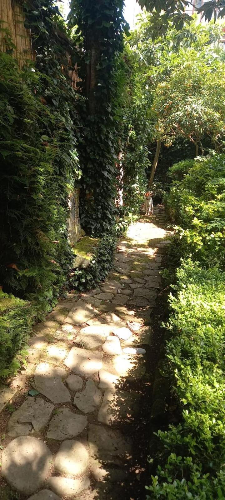 L'Antica Dimora Villa Meta Kültér fotó